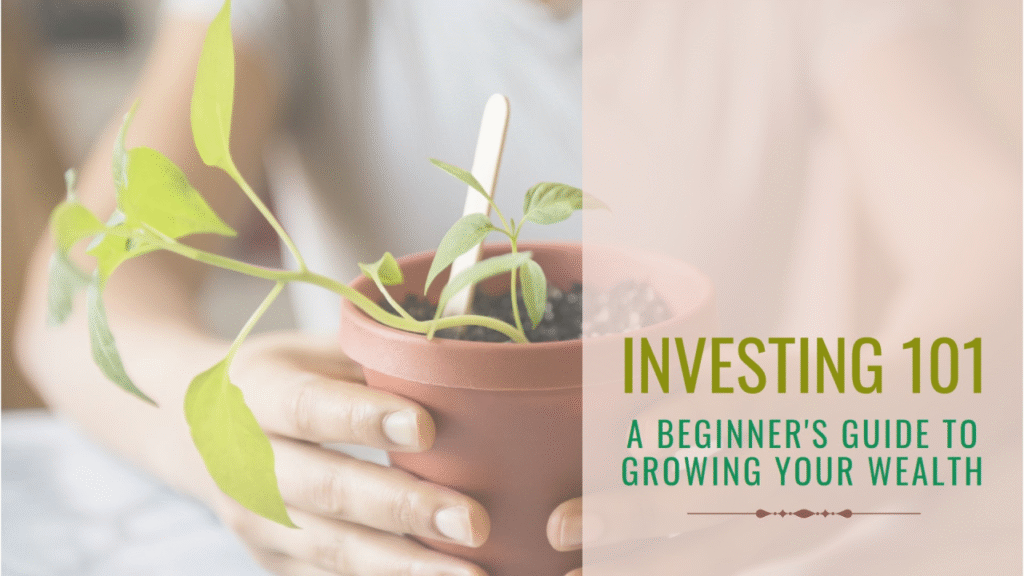 Business Investments 101: A Beginner’s Guide to Growing Your Wealth